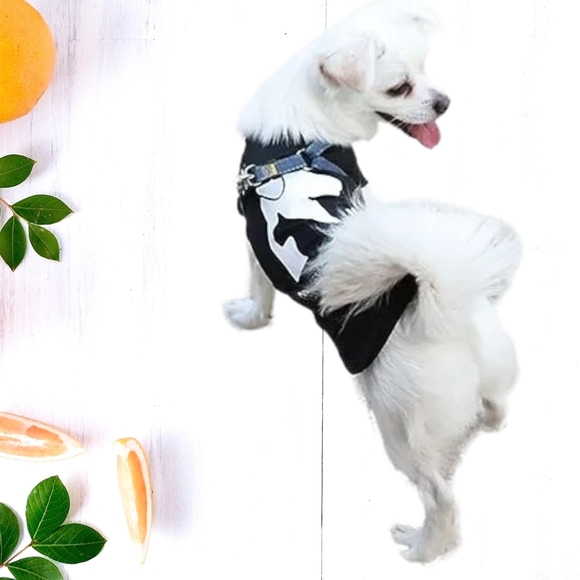 🐾 Dog Graphic T-Shirt, Large - Picture 3 of 7